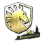 Team Liquid (Gold) | Stockholm 2021
