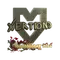xertioN (Gold) | Shanghai 2024