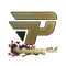 paiN Gaming (Gold) | Shanghai 2024