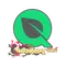FlyQuest | Shanghai 2024