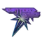 Shattered Web