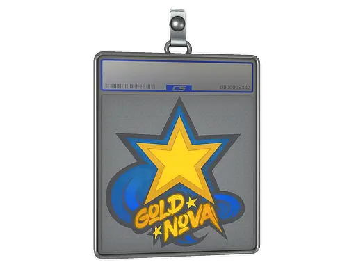 Sticker Slab | Gold Nova