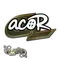 acoR (Glitter) | Paris 2023