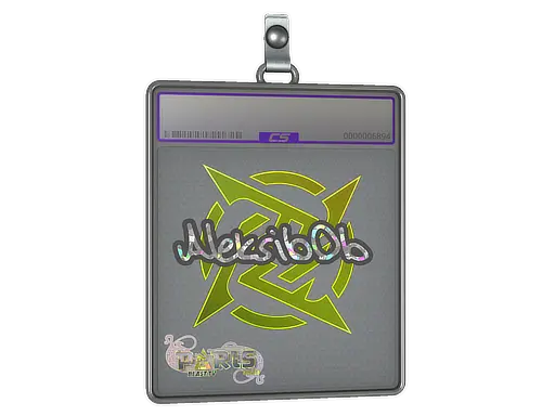Sticker Slab | Aleksib (Glitter) | Paris 2023