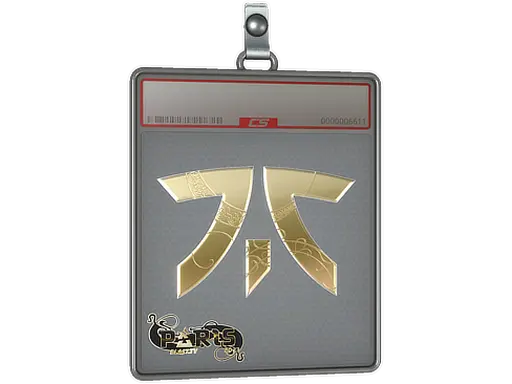 Sticker Slab | Fnatic (Gold) | Paris 2023