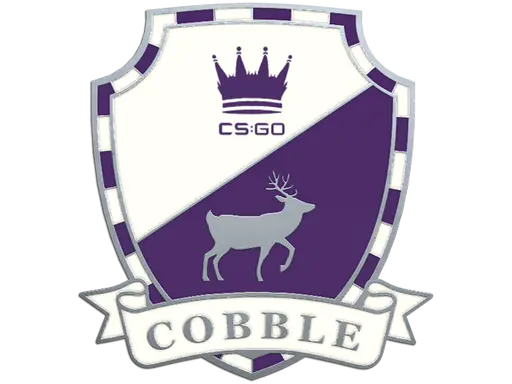 Cobblestone Pin