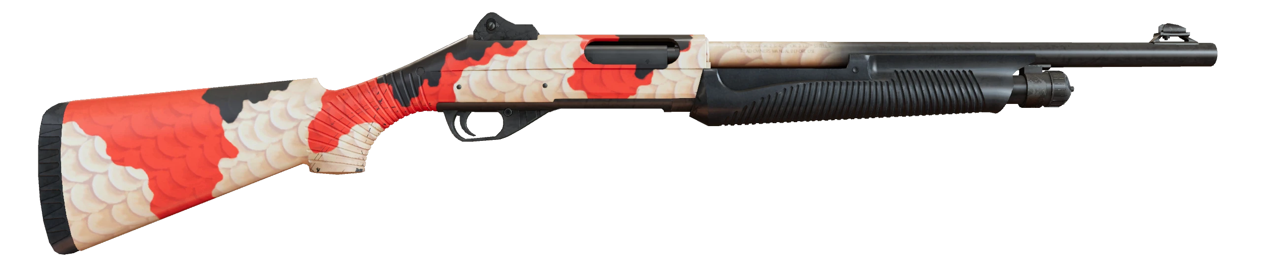 Nova | Koi